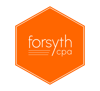 Forsyth CPA Web Style Guide-27